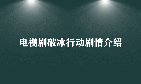 电视剧破冰行动剧情介绍