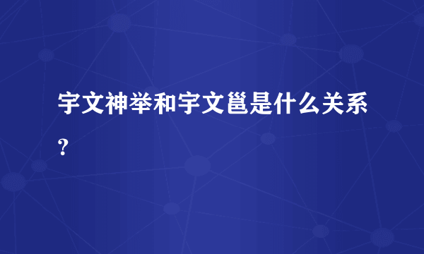 宇文神举和宇文邕是什么关系？