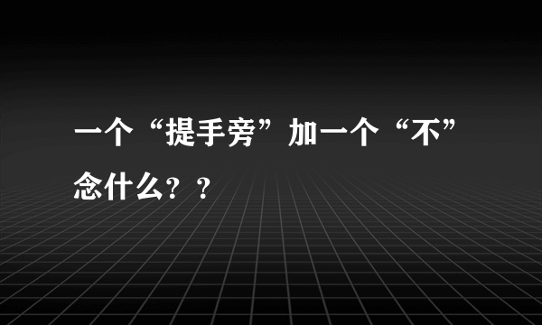 一个“提手旁”加一个“不”念什么？？