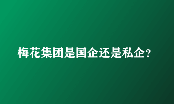 梅花集团是国企还是私企？