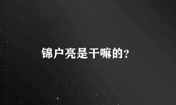 锦户亮是干嘛的？