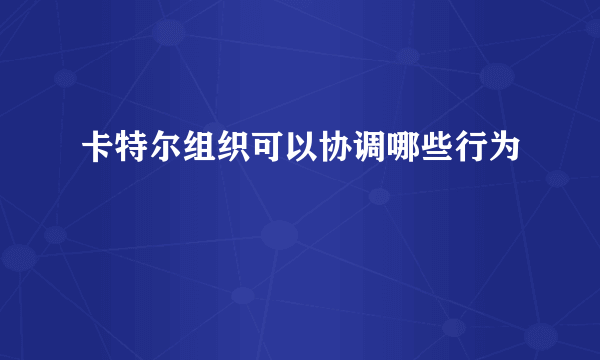 卡特尔组织可以协调哪些行为