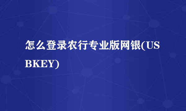 怎么登录农行专业版网银(USBKEY)