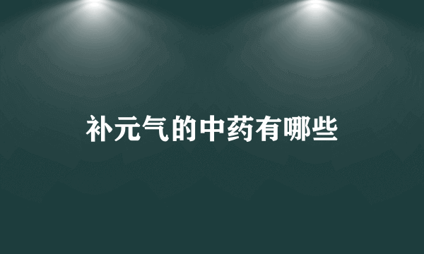 补元气的中药有哪些