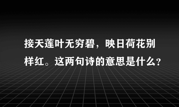 接天莲叶无穷碧，映日荷花别样红。这两句诗的意思是什么？