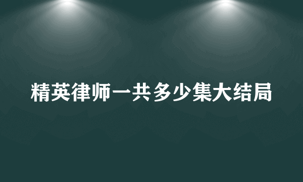 精英律师一共多少集大结局