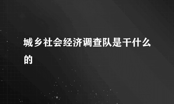 城乡社会经济调查队是干什么的