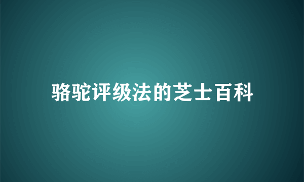 骆驼评级法的芝士百科