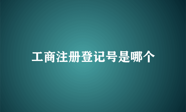 工商注册登记号是哪个