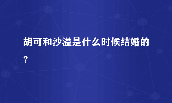 胡可和沙溢是什么时候结婚的？