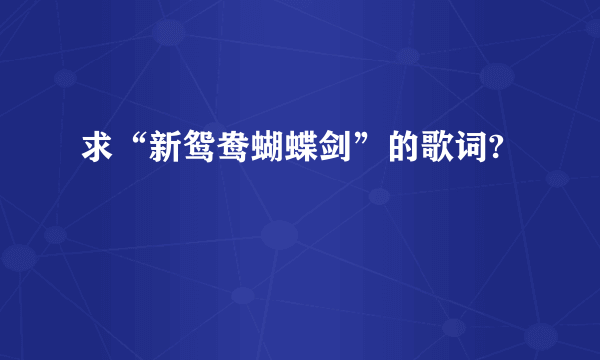 求“新鸳鸯蝴蝶剑”的歌词?