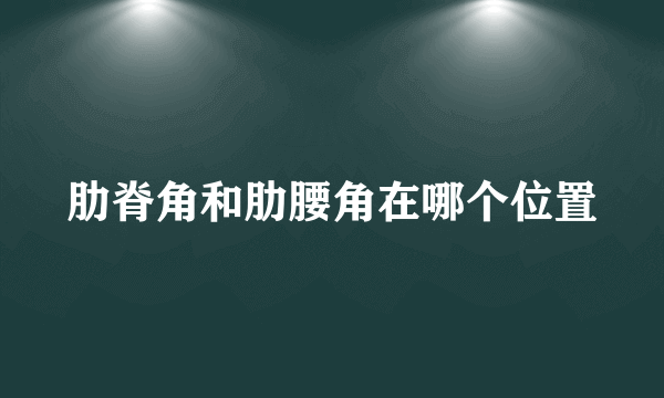 肋脊角和肋腰角在哪个位置