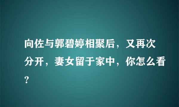 向佐与郭碧婷相聚后，又再次分开，妻女留于家中，你怎么看？