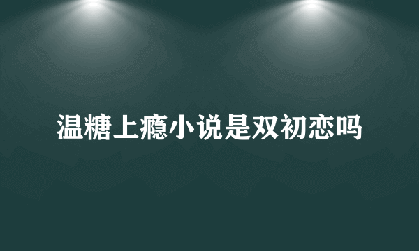 温糖上瘾小说是双初恋吗