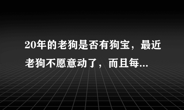 20年的老狗是否有狗宝，最近老狗不愿意动了，而且每天那都需要喝大量的水。吃东西也不多了。