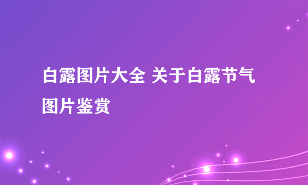 白露图片大全 关于白露节气图片鉴赏