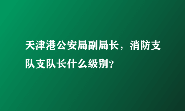 天津港公安局副局长，消防支队支队长什么级别？