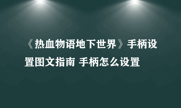 《热血物语地下世界》手柄设置图文指南 手柄怎么设置