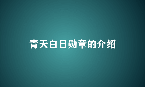 青天白日勋章的介绍