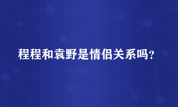 程程和袁野是情侣关系吗？