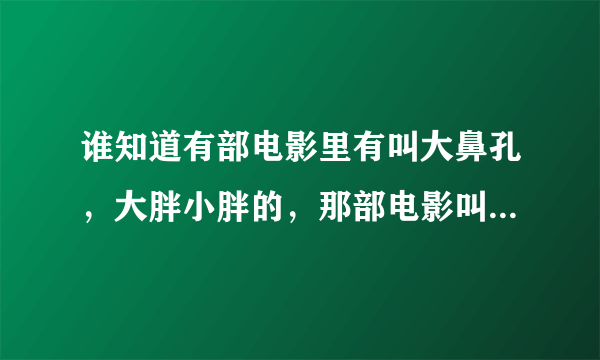 谁知道有部电影里有叫大鼻孔，大胖小胖的，那部电影叫什么名字