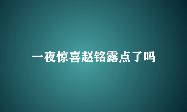 一夜惊喜赵铭露点了吗