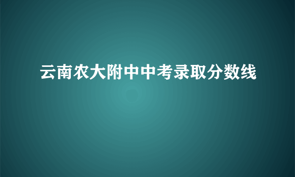 云南农大附中中考录取分数线