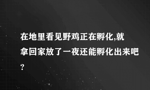 在地里看见野鸡正在孵化,就拿回家放了一夜还能孵化出来吧？