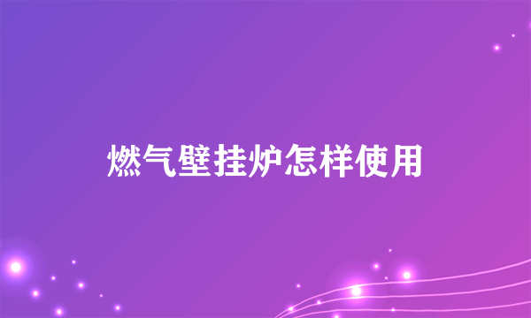 燃气壁挂炉怎样使用