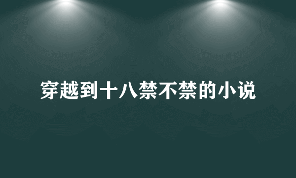 穿越到十八禁不禁的小说