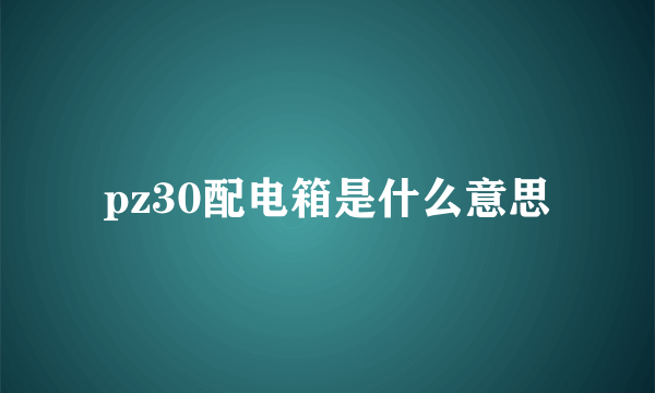 pz30配电箱是什么意思