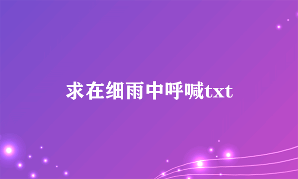 求在细雨中呼喊txt