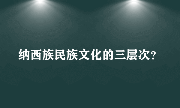 纳西族民族文化的三层次？