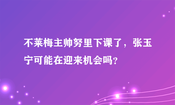 不莱梅主帅努里下课了，张玉宁可能在迎来机会吗？