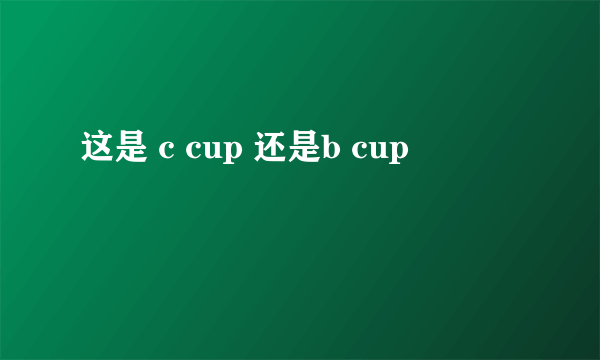 这是 c cup 还是b cup