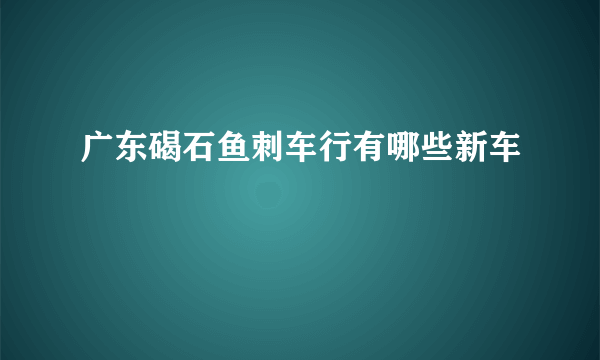 广东碣石鱼刺车行有哪些新车