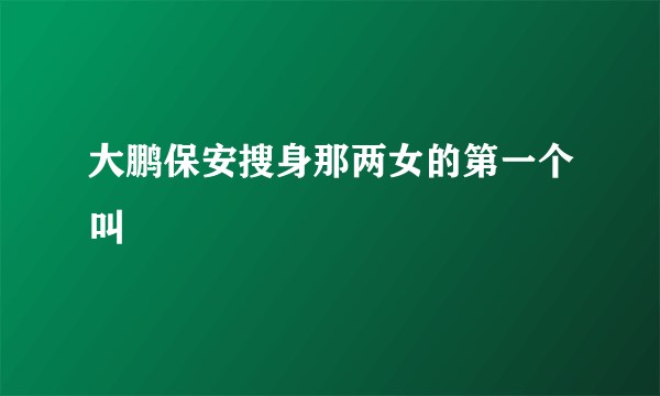 大鹏保安搜身那两女的第一个叫