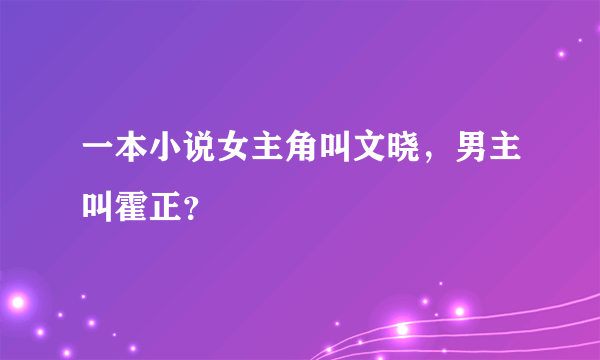 一本小说女主角叫文晓，男主叫霍正？