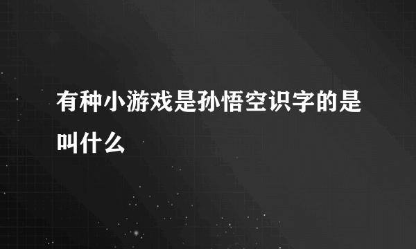 有种小游戏是孙悟空识字的是叫什么