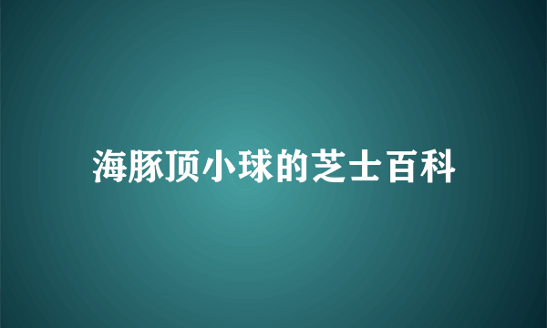 海豚顶小球的芝士百科