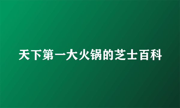 天下第一大火锅的芝士百科