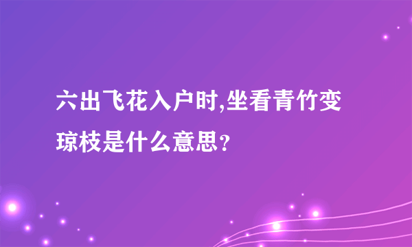 六出飞花入户时,坐看青竹变琼枝是什么意思？