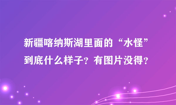 新疆喀纳斯湖里面的“水怪”到底什么样子？有图片没得？