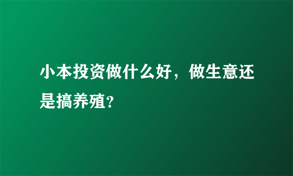 小本投资做什么好，做生意还是搞养殖？