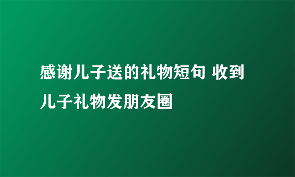 感谢儿子送的礼物短句 收到儿子礼物发朋友圈