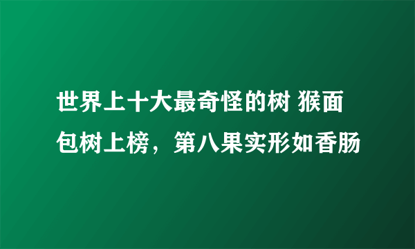 世界上十大最奇怪的树 猴面包树上榜，第八果实形如香肠