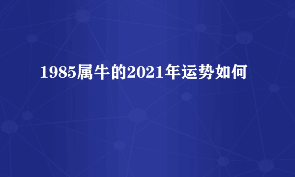 1985属牛的2021年运势如何