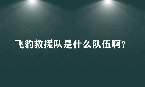 飞豹救援队是什么队伍啊？