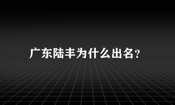 广东陆丰为什么出名？