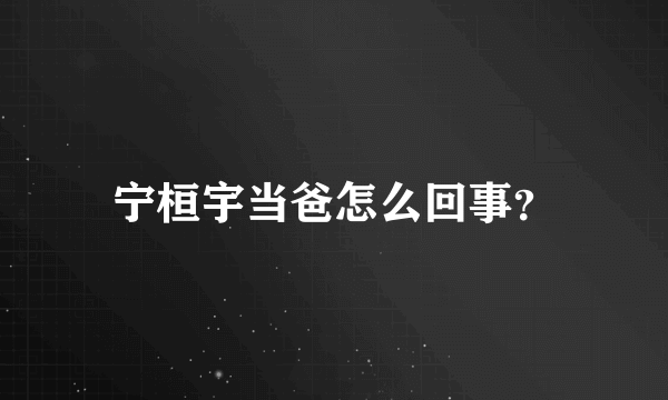 宁桓宇当爸怎么回事？